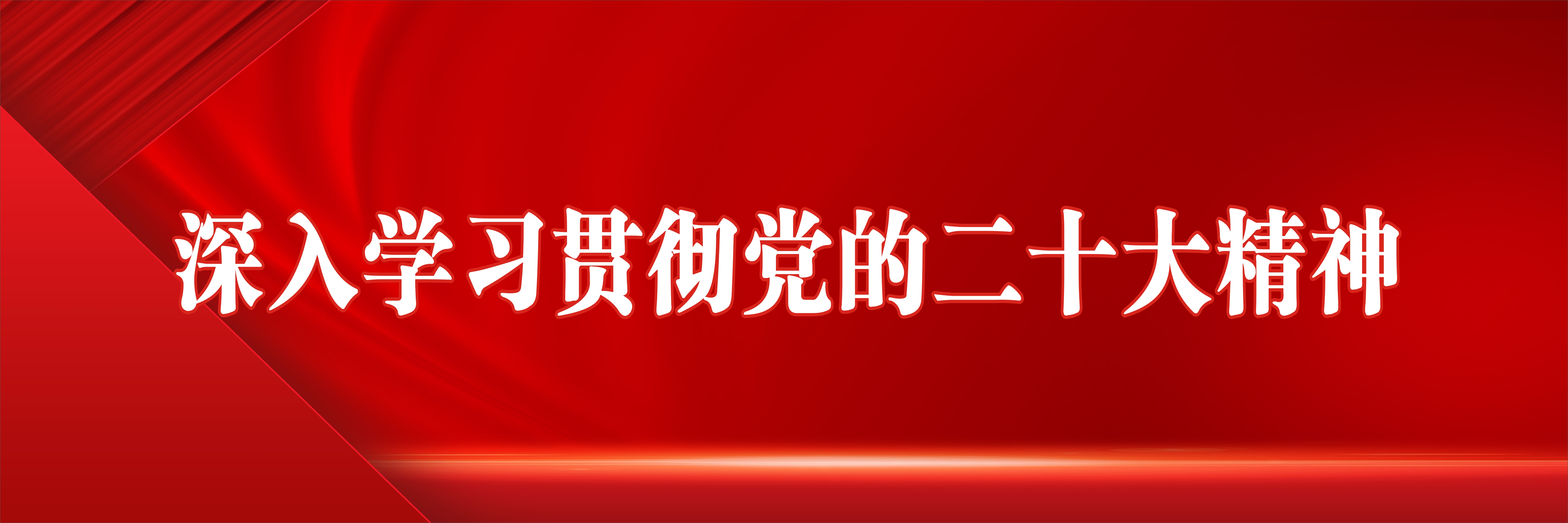 深入学习贯彻党的二十大精神